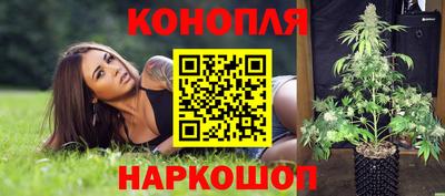 стафф Новодвинск