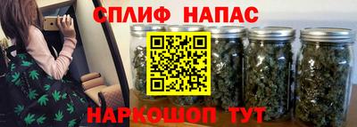 стафф Новодвинск