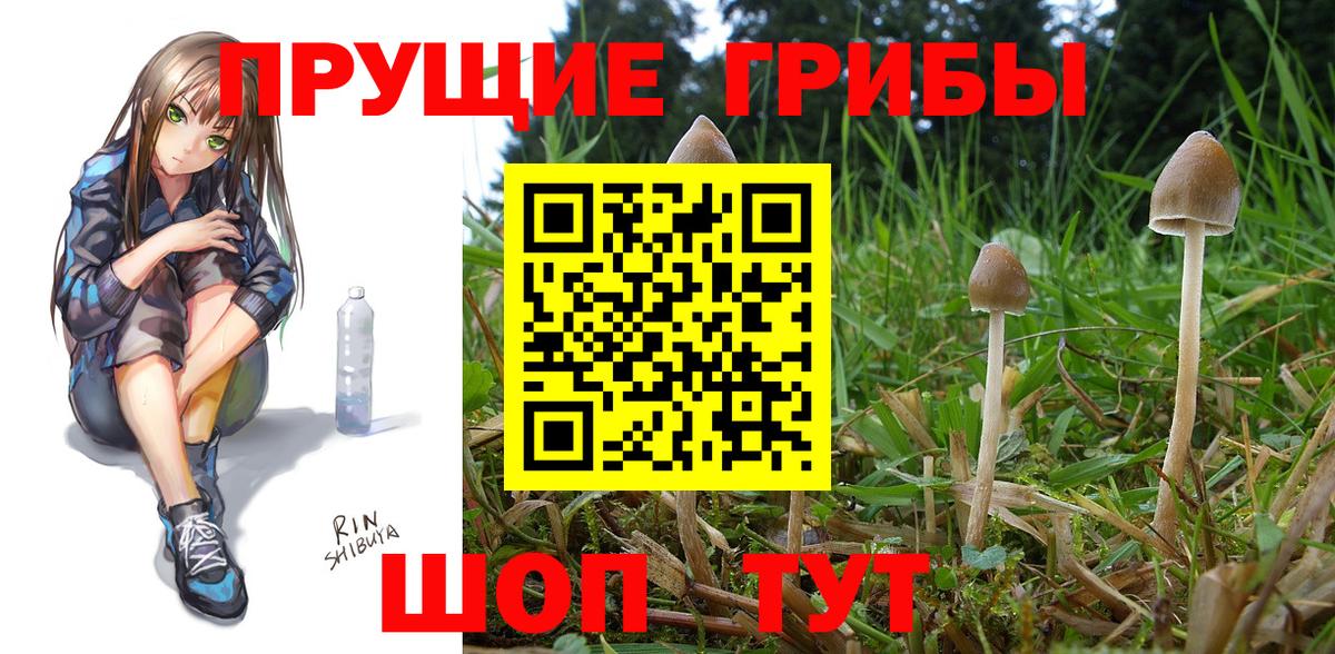 Галлюциногенные грибы GOLDEN TEACHER Рыбинск